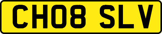 CH08SLV