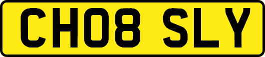 CH08SLY
