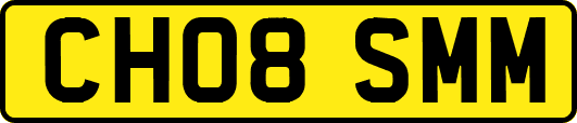 CH08SMM