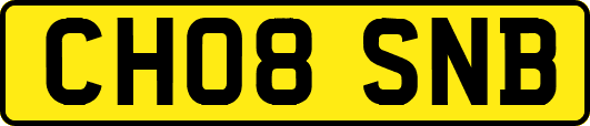 CH08SNB