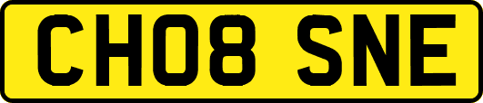 CH08SNE