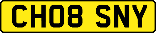 CH08SNY