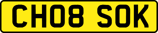 CH08SOK