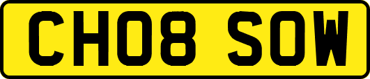 CH08SOW