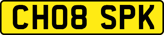 CH08SPK