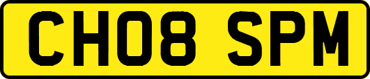 CH08SPM