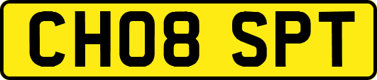 CH08SPT