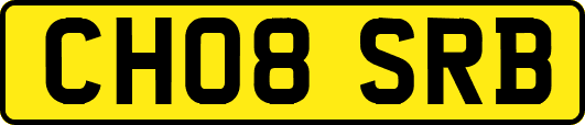 CH08SRB