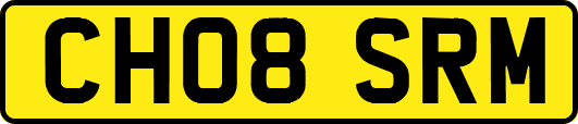 CH08SRM
