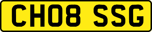 CH08SSG
