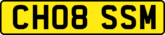 CH08SSM