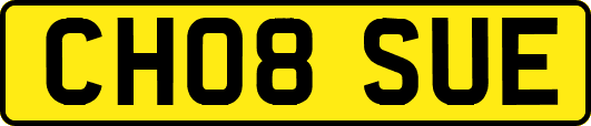 CH08SUE