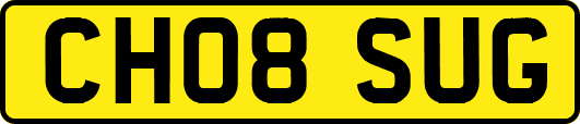 CH08SUG