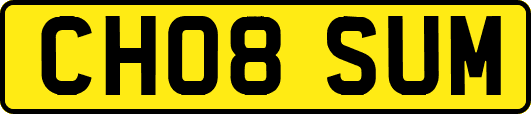 CH08SUM
