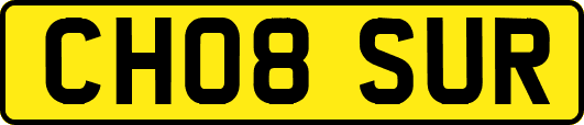 CH08SUR