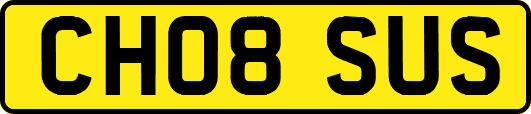 CH08SUS