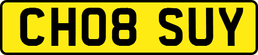 CH08SUY