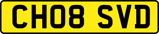 CH08SVD