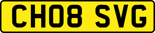 CH08SVG