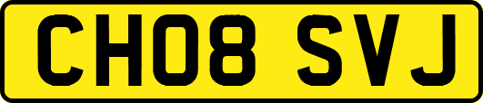 CH08SVJ