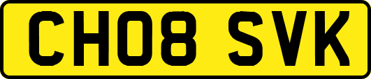 CH08SVK