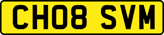 CH08SVM