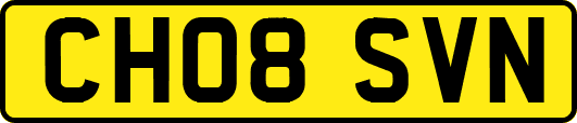 CH08SVN
