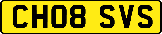 CH08SVS