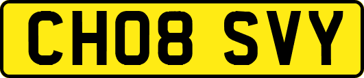 CH08SVY