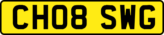 CH08SWG