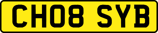 CH08SYB