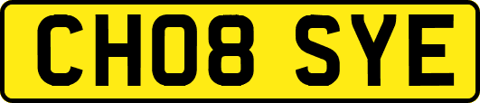 CH08SYE