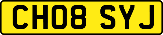 CH08SYJ