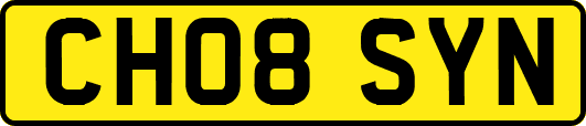 CH08SYN