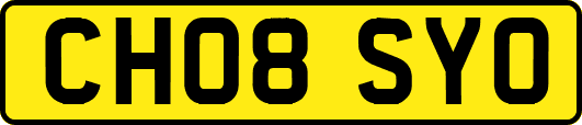 CH08SYO
