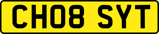 CH08SYT