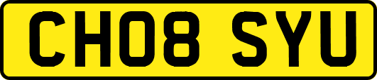 CH08SYU