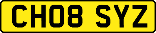 CH08SYZ