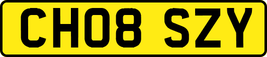 CH08SZY