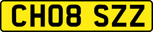 CH08SZZ