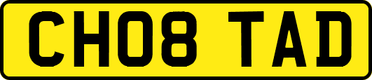 CH08TAD