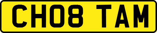 CH08TAM