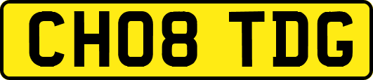 CH08TDG