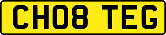 CH08TEG