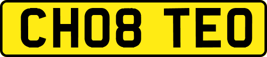 CH08TEO