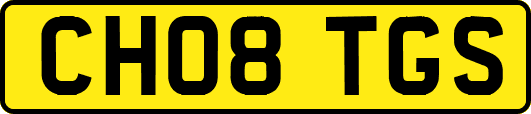 CH08TGS