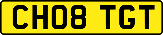 CH08TGT