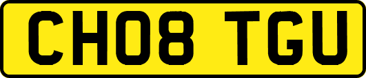 CH08TGU
