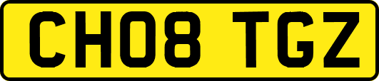CH08TGZ