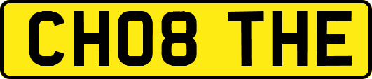 CH08THE